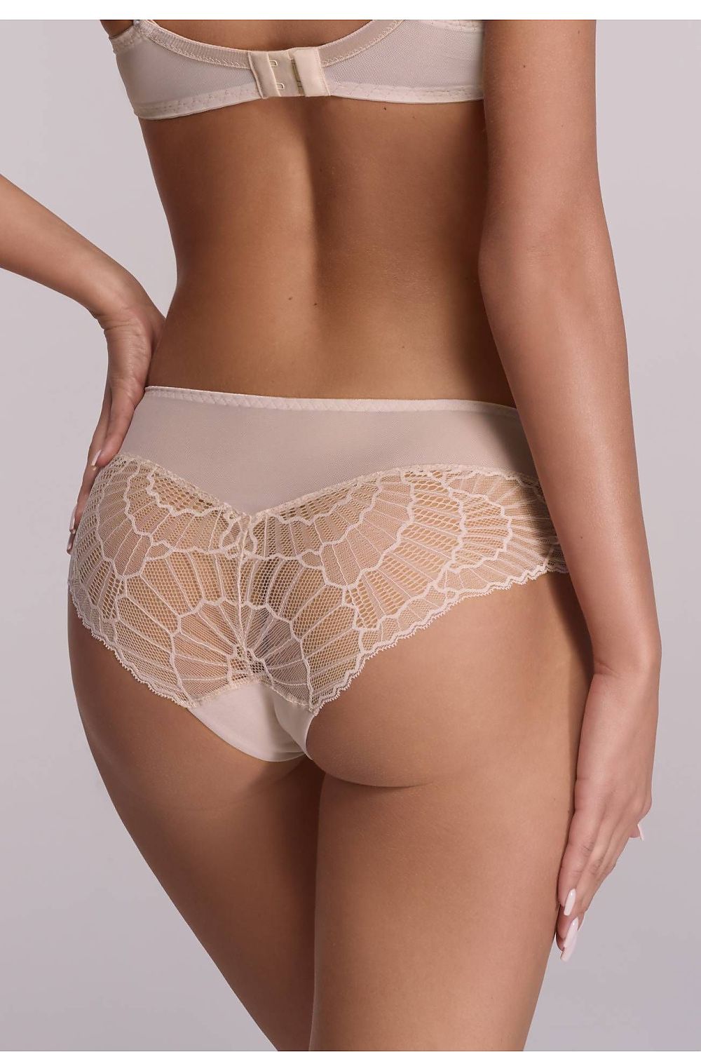 Rückansicht Spitzen-Slip mit transparentem Rücken und klassischem Schnitt auf hellem Hintergrund