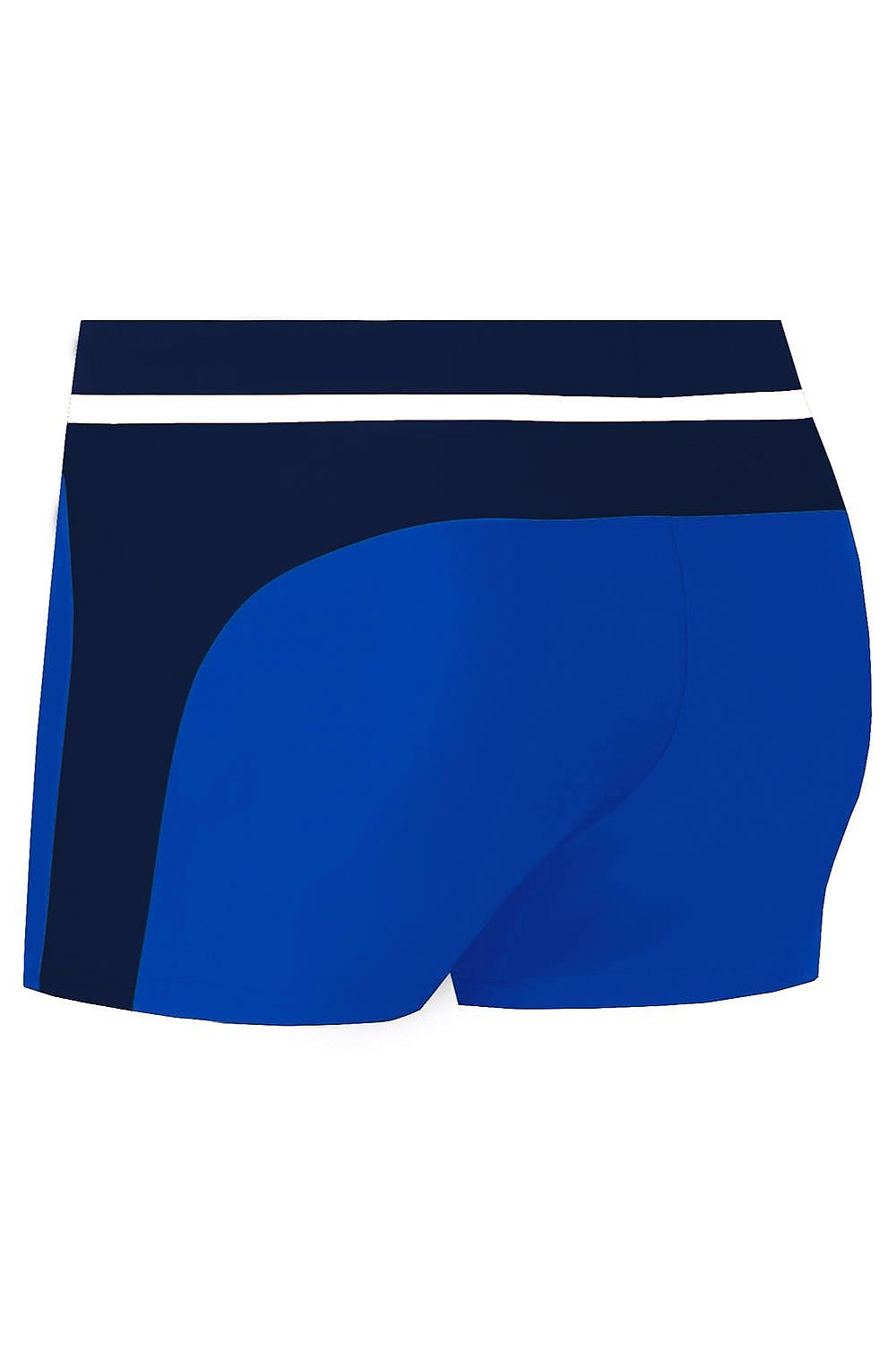 Herren Badehose S99F in Royalblau und Dunkelblau mit weißem Streifen, Rückansicht