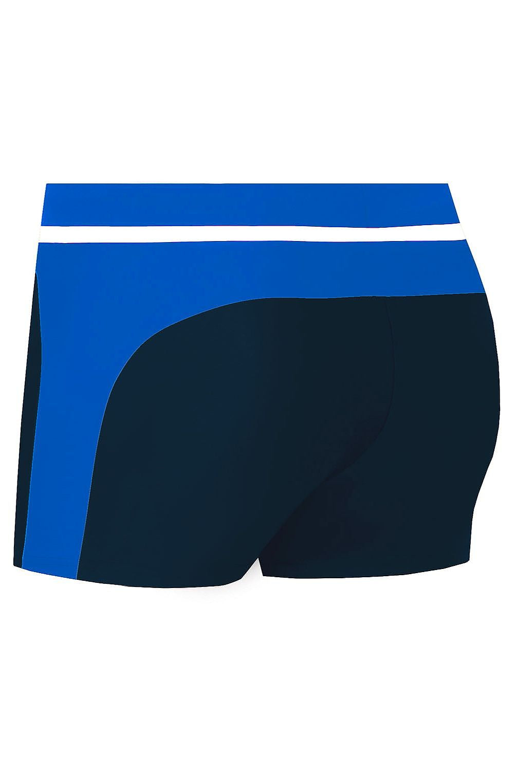 Herren Badehose S99F in Dunkelblau und Blau mit weißem Streifen, Rückansicht