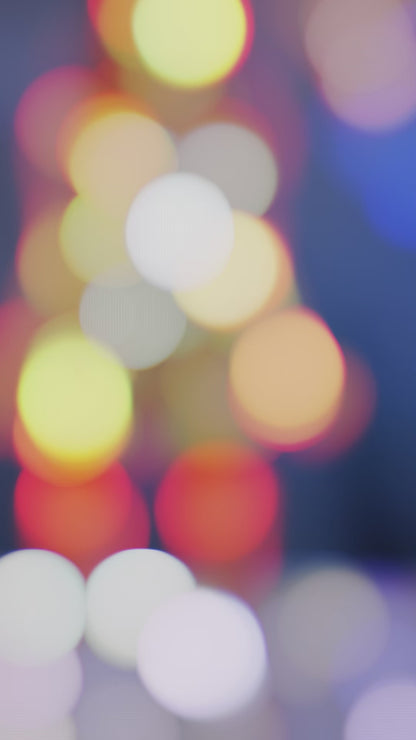 Seductive lace set of bra, garter belt, thong and stockings plus a matching thong